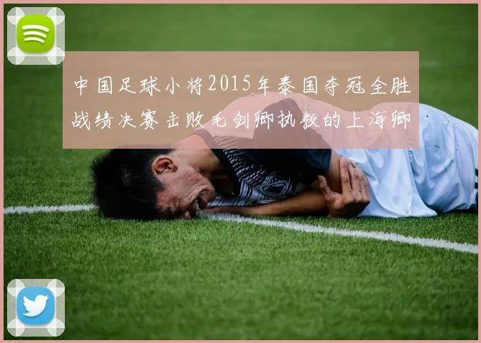 中国足球小将2015年泰国夺冠全胜战绩决赛击败毛剑卿执教的上海卿训