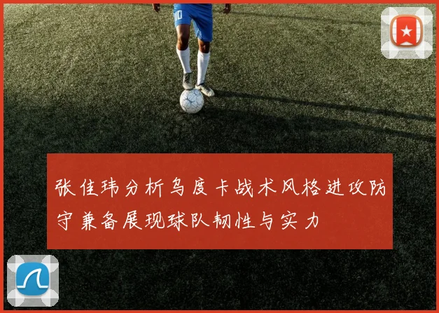 张佳玮分析乌度卡战术风格进攻防守兼备展现球队韧性与实力