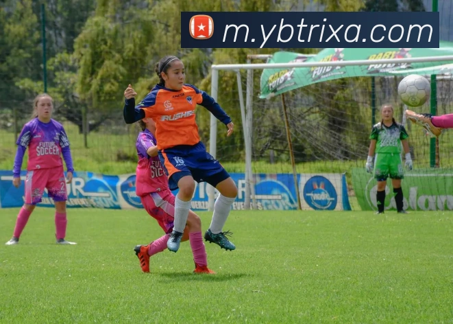 YB体育APP 高清赛事图